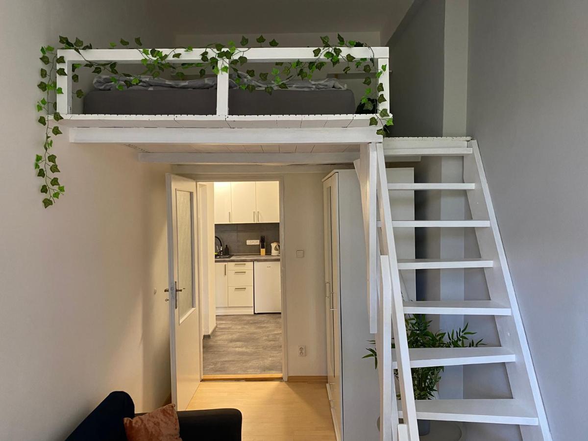 Downtown Flat Under Spilberk Castle Brno