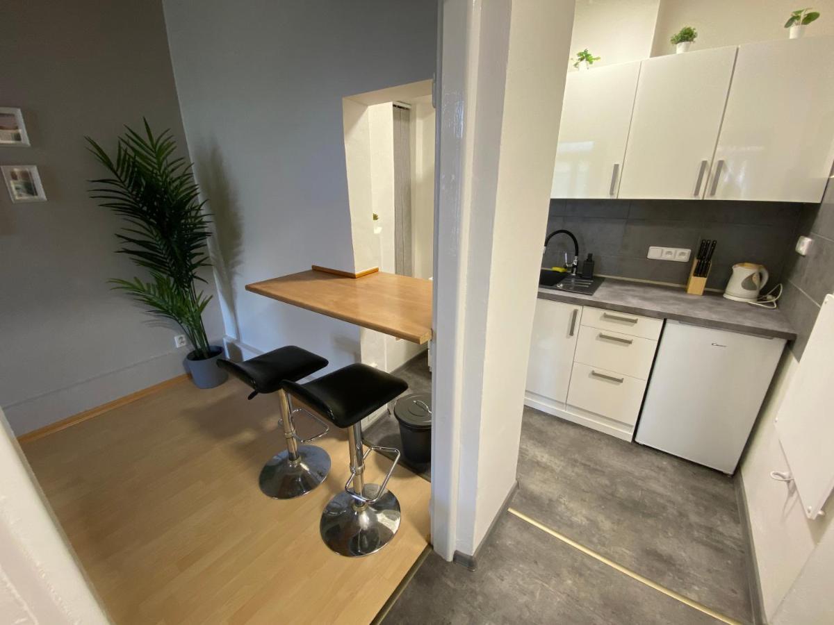 Downtown Flat Under Spilberk Castle Brno