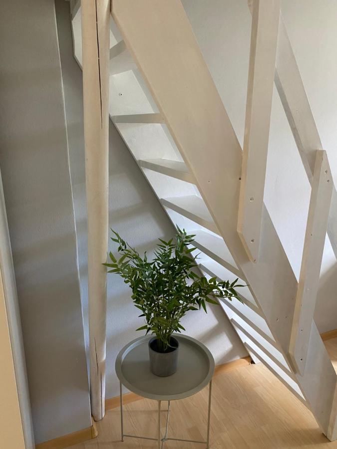 Downtown Flat Under Spilberk Castle Apartment