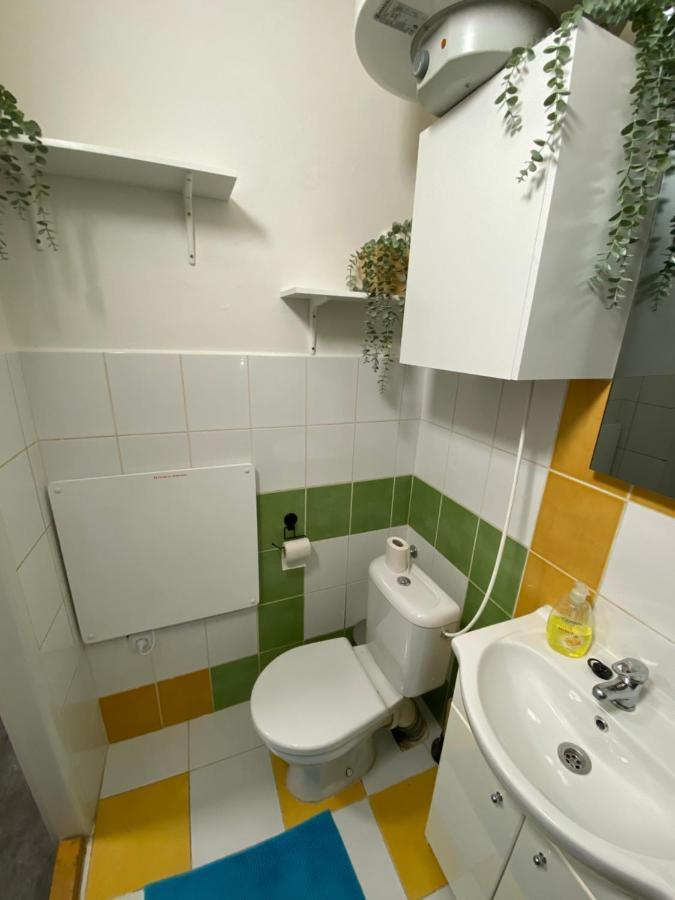 Apartment Downtown Flat Under Spilberk Castle